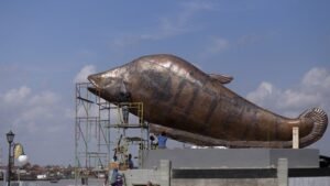 Ikan Belida Tidak Boleh Konsumsi, Pedagang Kerupuk Kebingungan