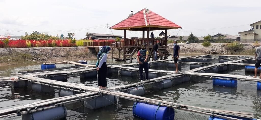 Kelompok Pesona Cahaya Lestari Budidayakan Perikanan dan Wisata di Lahan Bekas Tambang