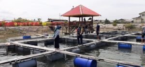 Kelompok Pesona Cahaya Lestari Budidayakan Perikanan dan Wisata di Lahan Bekas Tambang