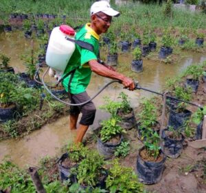 Petualangan Sunardi di Jalur Tani Sampai Kini…!