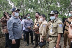 BNI Tambah Daftar Pendukung Program Porang Pemprov. Babel