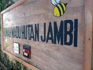 Rumah Madu Hutan Jambi Ekspor Madu Hingga ke Singapura