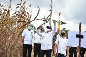 Nilai Tukar Petani Babel Tertinggi di Indonesia