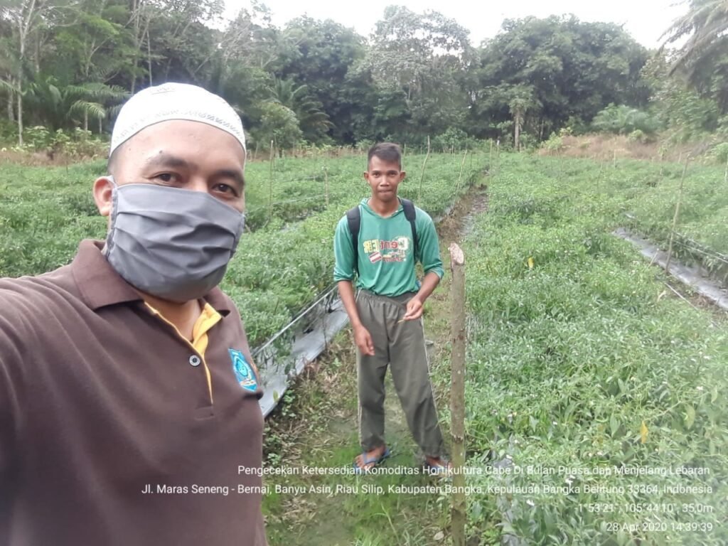 Kabupaten Bangka Baru Punya 100 Orang Petani Muda