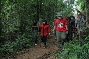 HUT ke-48 PDI Perjuangan, DPC Muba Tanam 21.000 Bibit Pohon