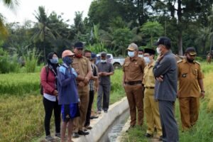 Jitut Tingkatkan Produktivitas Petani di Musirawas