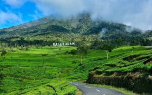 Libur Akhir Tahun, Gubernur Deru Sebut Tidak Perlu Jauh-Jauh