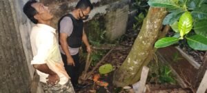 Innalilahi, Warga Musirawas Tewas Usai Jatuh dari Pohon Nangka