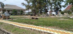 Pembangunan Taman Di Samping Kantor Pol PP Babel Bukan Menggunakan APBD Provinsi