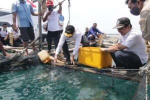 Usaha Keramba Ikan Kerapu Bantu Tingkatkan Ekonomi Masyarakat Pulau Semujur