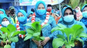 Peningkatan Pendapatan Keluarga Dengan PKK