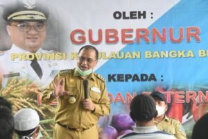 Bangka Tengah Jadi Sentra Strategis Pengembangan Cabai dan Bawang Merah Babel