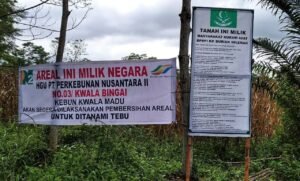 Konflik dengan Masyarakat Adat Rakyat Penunggu, Kaji Ulang Lahan PTPN II Langkat