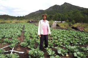 Kala Sistem Pangan Indonesia Masih Rapuh