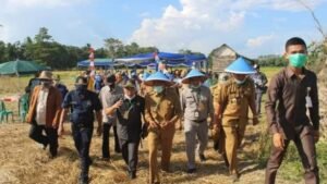 OKI Pertahankan Predikat Lumbung Pangan Nasional