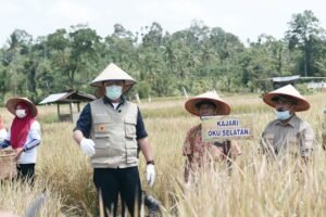 Herman Deru Yakin Sumsel Segera Jadi Juara Penghasil Pangan di Indonesia