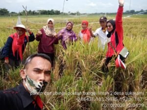 Program Serasi Tingkatkan Hasil Tani di Muba