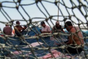 Tantangan UU Cipta Kerja dalam Menguji Kepatuhan Pelaku Usaha Perikanan