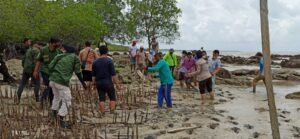 KPHP Muntai Palas Unit V Basel Gencar Tanam Mangrove di Pesisir Pantai