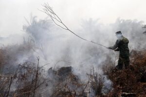 Jangan Lagi &ldquo;Salahkan&rdquo; Gambut Saat Terjadi Karhutla