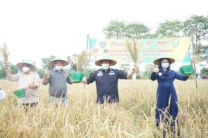 Herman Deru Sebut Kartu Tani akan Untungkan Petani Sumsel