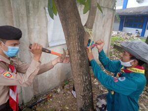 Pramuka UIN Raden Fatah dan FECC Gelar Aksi Cabut Paku di Pohon