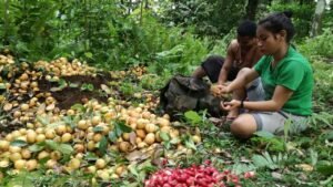 Ekowisata di Punggung Gamalama Ini Hadapi Masalah Sampah dan Perburuan Satwa