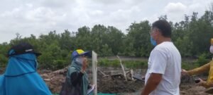 Usaha Tambak Udang Vaname di Bangka Belitung Meningkat Pesat, Tapi Banyak Belum Berizin