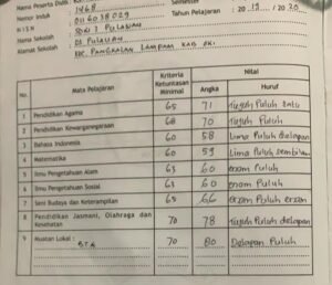 Siswa SDN 1 Pulauan Tidak Naik Kelas, Ortu Sebut Tidak Pernah ada Pembelajaran Online