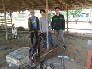 BEM Fakultas Teknik UNSRI Sumbang Kambing Kurban