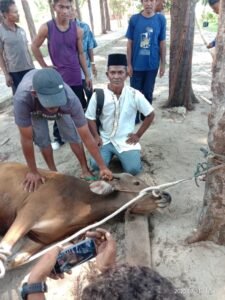 Idul Adha 1441 H, Dansat Brimob Polda Babel Kurban Sapi di Pulau Semujur
