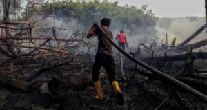 Lembaga Pemulihan Gambut Pasca 2020