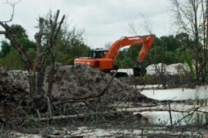 PN Sungailiat Diminta Ungkap Fakta Kejahatan Lingkungan Tambang Timah