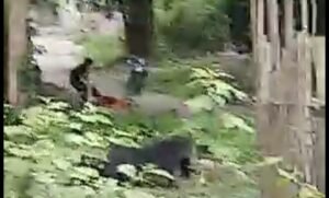 Ternyata Ini Penyebab Pembunuhan di Tulung Selapan OKI yang Viral di Medsos