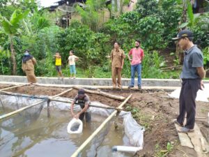 Penggerak Perekonomian, Desa Tapak Gedung Kembangkan Budidaya Ikan Nila