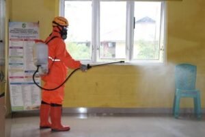 Pemkot Palembang Terima Bantuan Disinfektan dari PDHI