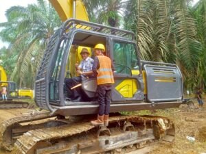OKI Remajakan Puluhan Ribu Ha Kebun Sawit