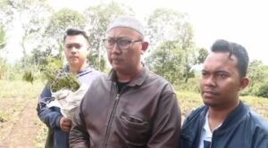 Polres Pagaralam Temukan Tiga Hektar Ganja di Desa Rimba Candi