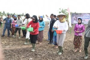 Riezky Aprilia Dorong Sumsel Jadi Penyumbang Kedaulatan Pangan Nasional