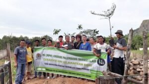 HMI (MPO) Palembang Darussalam Tanam 210 ribu Pohon