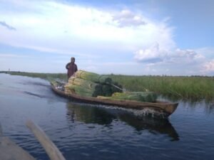 Revisi RTRW OKI Akomodir Perlindungan Gambut