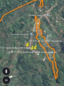 BKSDA Sebut Kemunculan Harimau di Pagaralam karena Habitatnya Terganggu