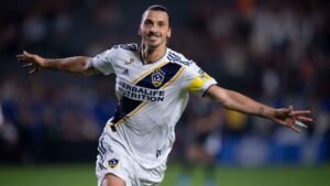 Ibrahimovic Terbuka untuk Gabung ke Bologna