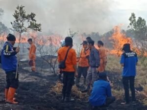 8 Hektar Lahan di Atung Bungsu Pagaralam Terbakar&nbsp;