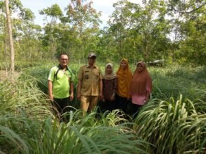 Muba Kembangkan Budidaya Serai Wangi&nbsp;