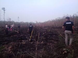 750 Hektar Terbakar, Lahan Konsesi PT DGS Disegel