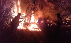 Petugas Gabungan Karhutla Berjuang Memadamkan Sejumlah Titik Api di Pagaralam