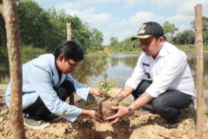 KKN UIN Raden Fatah Tanam Pohon di Embung Desa Sido Mukti