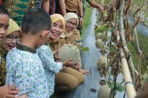 Banyak Kelurahan Belum Memanfaatkan Lahan Tidurnya Ini kata Wawako