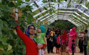 Taman Agro Inovasi TPHP Muba Ramai Dikunjungi Warga